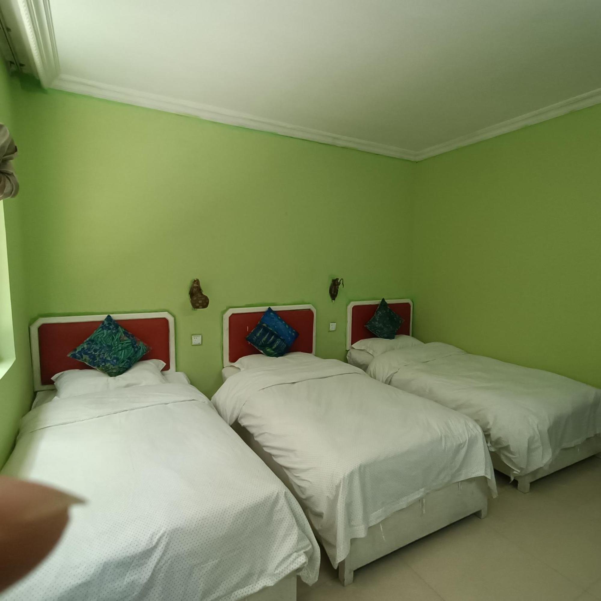Yangshuo How Flowers Hostel エクステリア 写真